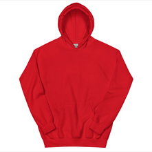 Unisex Plain Hoodie